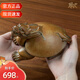 銅師傅龍龜擺件吉祥龍龜銅工藝品家居飾品創(chuàng  )意擺件開(kāi)業(yè)喬遷禮物送客戶(hù)