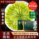 唯茶安吉明前白茶特級2025新茶正宗頭采黃金芽禮盒裝春茶罐裝綠茶 春璽禮盒裝