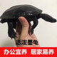 詩(shī)軒  墨龜活體 寵物烏龜 全墨墨龜觀(guān)賞龜 淺水龜中華草龜 黑腹墨龜苗 十二年 全墨龜 兩只 情侶一對【招財鎮宅】