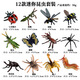益科星兒童仿真野生昆蟲動物模型迷你蝴蝶蜜蜂蜘蛛螳螂蝎子蜈蚣蜻蜓玩具 昆蟲12款套裝 套裝