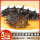 【廠家直銷】底播海參即食深海遼刺參海滲禮盒大連海參 6-12只/斤【大連普通海參】 4斤裝