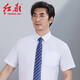 紅都 襯衫男短袖襯衣棉質(zhì)夏裝商務(wù)白色職業(yè)正裝上班工作服團購半袖 白色SD8471 41