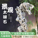 江蘇本地太湖石庭院擺件園林工程造景天然原石中式天然景觀石假山