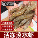 十里饞連云港淡水蝦水庫(kù)大蝦河蝦凈重冰河蝦湖水蝦清水蝦味順豐 1000g(凈重)  11-13cm 約30只/斤