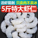 蝦仁鮮凍青蝦仁商用鮮凍批發(fā)冷凍蝦仁去蝦線(xiàn)新鮮特大蝦仁 5包5斤大蝦仁
