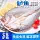 三去開(kāi)背鱸魚(yú)七星鱸魚(yú)新鮮烤魚(yú)半成品冷凍冰鮮特大開(kāi)背鱸魚(yú) 開(kāi)背鱸魚(yú)【650-750g左右/條】 3條
