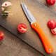 十八子作水果刀折疊削皮刀家用水果刮皮刀瓜果刀宿舍安全攜帶辦公室小刀 橙色折疊水果刀【H250】