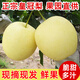 河北皇冠梨裝雪花母梨脆甜多汁梨子雪梨新鮮水果批發(fā) 9斤特大果