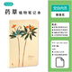 LIFE DOCUMENT簡(jiǎn)約創(chuàng  )意植物平攤筆記本B6藥草裸裝小清新文藝手繪本空白本 藝術(shù)加厚好紙漂亮好看的涂鴉本 銀蓮花