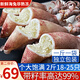 朵芙 海兔子滿籽 2斤 新鮮海兔帶籽 筆管魚 籽烏魷魚海鮮水產(chǎn)烏賊火鍋 大號(hào)滿籽海兔 2斤(凈重)