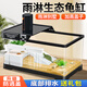 森悠（SARYOR）烏龜飼養(yǎng)缸生態(tài)造景帶曬臺爬臺塑料飼養(yǎng)箱小型別墅帶蓋龜缸小魚缸 中號黑【單缸+曬臺+防逃蓋】