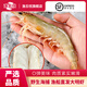 漁忘憂大明蝦鮮活海鮮水產(chǎn)超大特大蝦海捕蝦對(duì)蝦冷凍海蝦鮮蝦速凍蝦包郵 13-15cm大明蝦900克32-40條