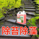 家可美青苔清除劑水泥地面苔蘚墻面房屋頂除苔蘚藻類(lèi)克星去除綠青苔清潔 青苔苔蘚藻類(lèi)清除劑2500g*1瓶