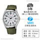 西鐵城（CITIZEN）獵鷹 Q&Q Falcon手表QB38-304學生考試簡約百搭 QB38-304 白盤綠帆布帶