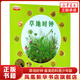 草地時(shí)鐘 最美的科普少年版 少兒科普圖畫(huà)書(shū) 3-6-10-12歲自然科學(xué)小學(xué)生兒童讀物 新華正版