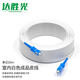 達(dá)勝光 成品皮線光纜 電信級(jí)光纖跳線SC/UPC-SC/UPC 室內(nèi)單芯2鋼絲 20米 通用光貓延長線 白 DSG-PT120