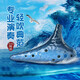 TNG陶笛12孔海波浪 樸鳳圭傾情推薦 初學(xué)配教材專(zhuān)業(yè)演奏級十二孔陶笛 藍色AC中音C