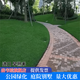 森韋睦草坪種子矮生四季青草籽免修剪綠化耐寒耐旱草種子庭院草種子護坡 進(jìn)口早熟禾純籽一斤【耐寒抗凍】