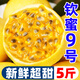 甜果源 百香果欽蜜9號(hào)廣西黃金百香果 純甜大果孕婦水果新鮮包郵 凈重2.5斤【80%人選擇 超實(shí)惠】 單果70-91g【大果丨80%人選】