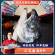 女王與鮮生挪威三文魚(yú)魚(yú)頭  挪威進(jìn)口 5個(gè)約2250g凈重源頭直發(fā)