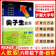 2025秋尖子生題庫六年級上冊下冊數學(xué)語(yǔ)文英語(yǔ)人教版北師版小學(xué)學(xué)霸提分練習冊一課一練課堂同步練習題課時(shí)作業(yè)本思維訓練天天練習冊 六年級下冊【數學(xué)】人教版