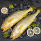 凌鮮中糧 東海大黃魚(yú)三去黃魚(yú)400g（去內臟）生鮮海鮮 紅燒大黃魚(yú)原料 三去大黃魚(yú)400克（約2條））