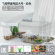 寵尚天 烏龜缸別墅生態(tài)飼養箱小烏龜活物活體龜盆寵物龜中華草龜 【帶蓋】大號龜缸 白+大禮包+2龜