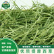 歸鄉提（GUIXIANGTI）特優(yōu)提摩西草荷蘭豬飼料龍貓兔糧提摩干草兔子草豚鼠牧草自產(chǎn)自銷(xiāo) 優(yōu)質(zhì)提摩西草500g