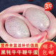 井親新鮮冷凍散養(yǎng)黑牦牛牛鞭牛蛋組合 牛寶男用牛蛋三寶 牛鞭牛蛋組合2000g