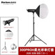 鑫威森（starison） 300W PRO二代太陽燈LED攝影燈視頻主播補光燈攝像影視燈網紅直播 300pro二代 φ65cm柔光球單燈套
