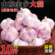 文枝正宗山東金鄉(xiāng)大蒜頭10斤干蒜紫皮新鮮多瓣獨頭大蒜頭整箱農(nóng)家包郵 1000g 干蒜【中果】果徑4CM-5CM