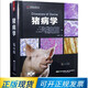 豬病學(xué)(第11版十一版) 9787559121295楊漢春譯 豬病防治技術(shù)豬病診療豬病預(yù)防豬場(chǎng)獸醫(yī)豬病管豬場(chǎng)獸醫(yī)工具書(shū)豬病學(xué)新版