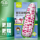 壽禾 彩甜糯玉米種子批發(fā)甜玉米類(lèi)秋冬季東北山東蔬菜種籽種孑 密甜糯3號玉米種子100g