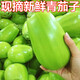 囧仙子茄子新鮮河南特產(chǎn)青茄子大綠茄子農(nóng)家自種蔬菜本地茄子整箱圓茄子 新鮮綠茄子  0g 5斤裝