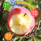 隴象甘肅慶陽(yáng)紅富士蘋(píng)果大果80-85mm 新鮮水果 年貨送禮 脆甜多汁 精品大果80mm-85mm凈重5斤約10-11枚