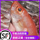 漁民海捕紅目鰱大眼鯛魚新鮮冷凍海捕深海紅目鰱海鮮金目鯛科 紅目鰱3斤 一斤2條