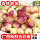 夢(mèng)芷廣西特產(chǎn)新鮮五彩椒5斤現(xiàn)摘七彩泡椒五色小燈籠辣椒農(nóng)產(chǎn)品七彩椒 七彩椒 5斤