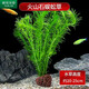 瘋狂水草（FKSC）真水草魚(yú)缸造景套餐凈化水質(zhì)懶人魚(yú)缸水草植物直接入缸蜈蚣草 蜈蚣草【火山石底座】