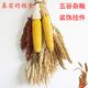 興屹真實(shí)干玉米掛件農作物農家樂(lè )裝飾秋天五谷雜糧掛串掛飾麥穗高粱穗 五谷雜糧1#