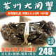【活蟹】陽澄凱馨鮮活大閘蟹 精品全母蟹2.3-2.6兩10只禮盒裝