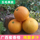 山間果好廣西蜜香橙新鮮現摘現發(fā)純甜無(wú)酸蜂蜜橙桂林特產(chǎn)冰糖橙子整箱速發(fā) 9斤大果