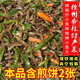 仁心食匠辣椒炒小魚(yú)邳州徐州特產(chǎn)私房菜煎餅小魚(yú)炒辣椒炒毛豆真空包裝定制