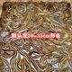 黃鱔苗長魚苗鱔魚活體魚苗小黃鱔苗淡水養(yǎng)殖鱔苗活體包活 鱔魚苗1斤【40-50條左右】