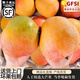 四叔公果蔬海南澳芒 大芒果新鮮水果三亞特大當(dāng)季孕婦水果整箱 禮盒裝 特大果 9.5-10斤（4-8個(gè)）
