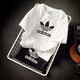 adidas阿迪達(dá)斯三葉草男士短袖夏季新款運(yùn)動(dòng)服半袖透氣棉質(zhì)圓領(lǐng)短袖T恤 白色三葉草/尺碼偏大/店長推薦 L