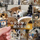 我愛學(xué)習(xí)表情包貼紙可愛狗狗勵志搞笑裝飾手機(jī)殼桌面防水貼紙 62張愛學(xué)習(xí)表情包貼紙