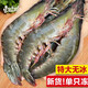 東上御品 蝦 青島大蝦基圍蝦鮮活青蝦白蝦海蝦對蝦生鮮 蝦類(lèi) 海鮮 青島大蝦 3斤(凈重)  【單只凍14-15cm】