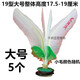 毽子丹東好朋友毽球廣場比賽專用毽子兒童學(xué)校運動好踢花毽 雪鸮19CM（好朋友升級）白色5個