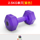 HOOB 新品固定環(huán)保包膠六角啞鈴男女家用健身器材kg 紫色5斤單只（2.5kg單只）