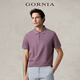 格羅尼雅（GORNIA）男士短袖上衣舒適時(shí)尚翻領(lǐng)中年半袖POLO衫男GBW22263225 紫色 2XL